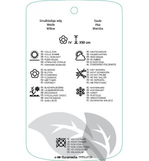 Etichette di Salix exigua *