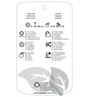 Etichette di Prunus avium ‘Bigarreau Napoléon’ *