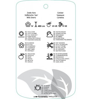 Etichette di Prunus avium ‘Sunburst’ *