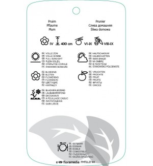 Etichette di Prunus domestica ‘Bleue di Belgique’ *