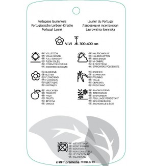 Etichette di Prunus lusitanica ‘Variegata’ *