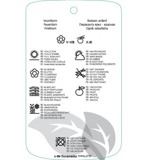 Etichette di Pyracantha coccinea ‘Red Cushion’ *