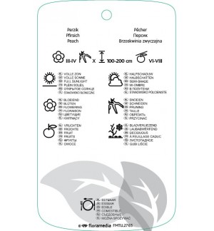 Etichette di Prunus persica ‘White Peachy’ *