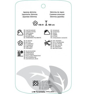 Etichette di Skimmia japonica ‘Fata Morgana’ *