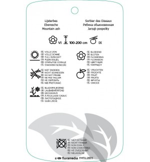 Etichette di Sorbus frutescens *