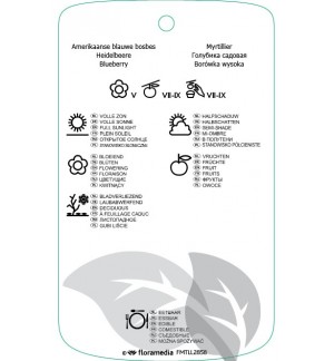Etichette di Vaccinium corymbosum ‘Goldtraube 23’ *