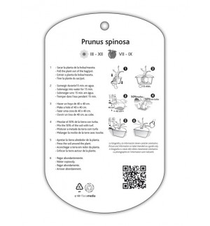 Etichette di Endrino