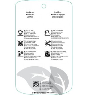 Etichette di Conifeer mix *