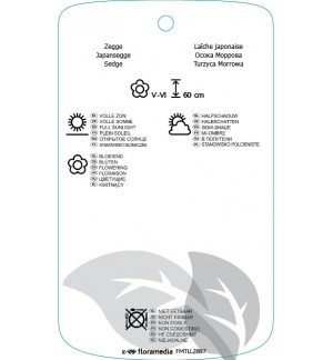 Etichette di Carex morrowii 'Variegata' *