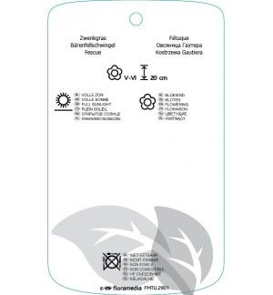 Etichette di Festuca gauteri *