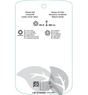 Etichette di Miscanthus sinensis 'Ferner Osten' *