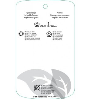 Etichette di Molinia arundinacea 'Transparent' *
