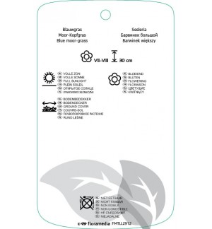 Etichette di Sesleria heufleriana *