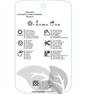 Etichette di Viburnum cinnamomifolium *