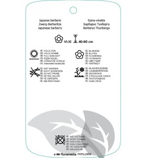 Etichette di Berberis thunbergii 'Erecta' *