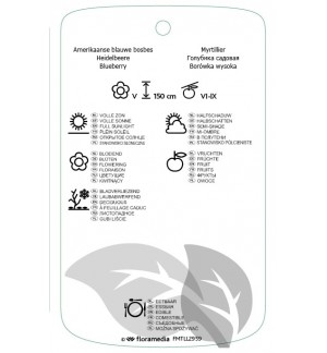 Etichette di Vaccinium corymbosum 'Emblue' *