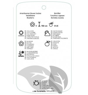 Etiquetas de Vaccinium corymbosum 'Emblue' *