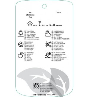 Etichette di Quercus robur 'Purpurascens *