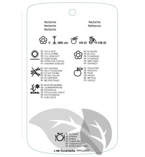 Etichette di Prunus persica *