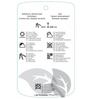 Etichette di Buxus sempervirens spiraalvormig *