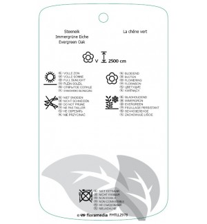 Etichette di Quercus ilex *