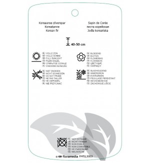 Etichette di Abies koreana 'Brillant' *