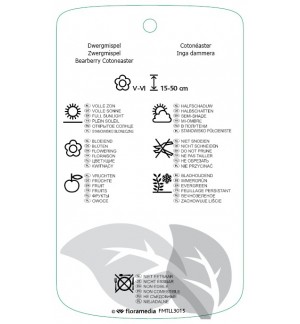 Etichette di Cotoneaster dammeri 'Major' *