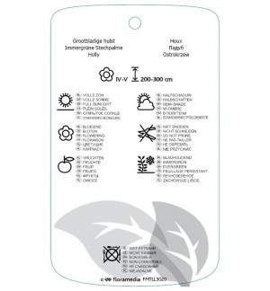 Etichette di Ilex xaltaclerensis 'Lawsoniana' *