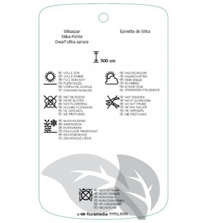 Etichette di Picea sitchensis 'Silberzwerg' *