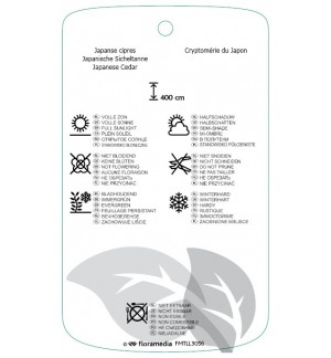 Etichette di Cryptomeria japonica *