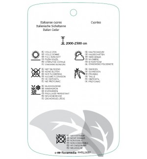 Etichette di Cupressus sempervirens *