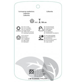 Etichette di Calliandra surinamensis 'Dixie Pink' *