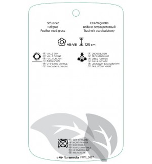 Etichette di Calamagrostis xacutiflora 'Avalanche' *