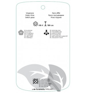 Etichette di Panicum virgatum 'Rehbraun' *