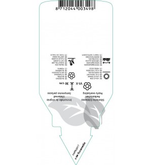 Etiquetas de Anaphalis triplinervis  white *