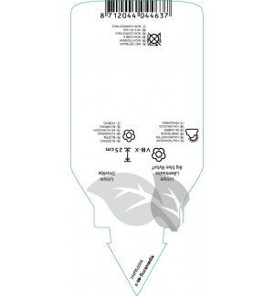 Etichette di Liriope muscari *