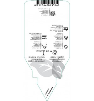 Etichette di Campanula carpatica *