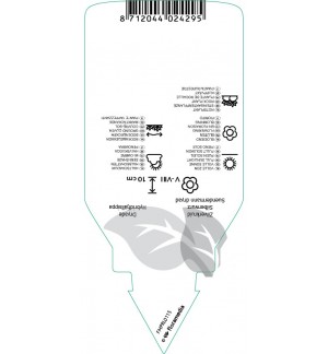 Etichette di Dryas suendirmanii *