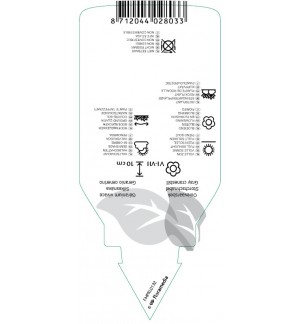 Etichette di Geranium cinereum ‘Splendins’ *