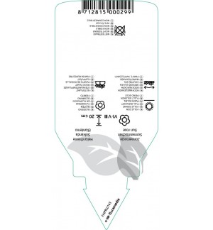 Etichette di Helianthemum  pink *