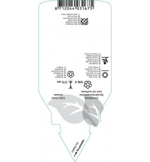 Etichette di Helianthus atrorubens *