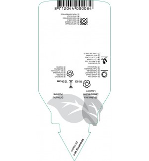 Etichette di Lavatera ‘Rosea’ *