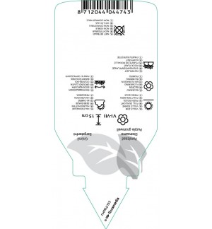 Etichette di Lithodora diffusa ‘Heavenly Blue’ *