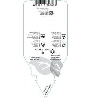 Etichette di Papaver nudicaule  mix *