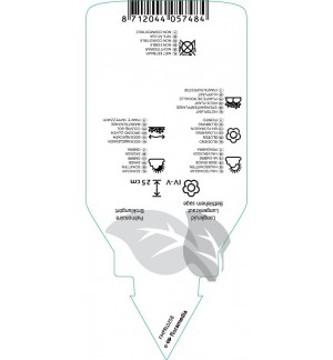 Etichette di Pulmonaria saccharata *