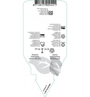 Etichette di Saxifraga (A)  red *