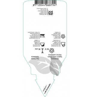 Etichette di Waldsteinia ternata *