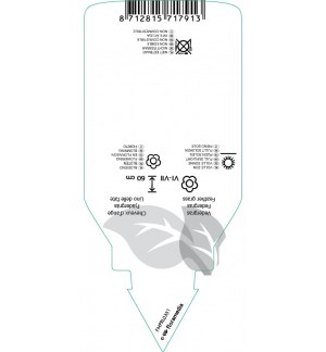 Etichette di Stipa *