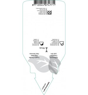 Etichette di Athyrium filix-femina *