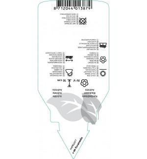 Etichette di Aubrieta ‘Argenteovariegata’ *